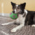 KONG Sneakerz Sport – Soccer Ball Dog Toy - Toys - Kong - Shop The Paw