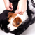 Pups & Bubs Carry Me Pet Carrier / Crossbody (Mint Green) - Pet Carriers & Crates - Pups & Bubs - Shop The Paw