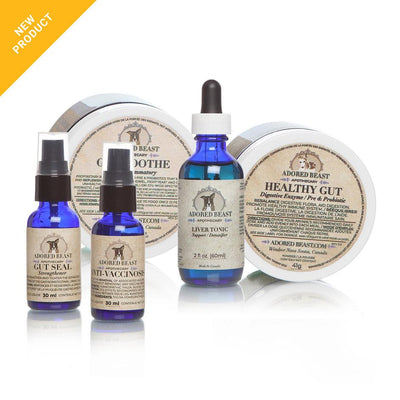 Adored Beast Leaky Gut Protocol (5 Product Kit) | Small Dog - Supplement - Adored Beast - Shop The Paw