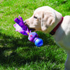 KONG Wubba Cosmos Assorted Dog Toy - Toys - Kong - Shop The Paw