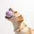 Wild One 4 Tennis Balls | Lilac - Toys - Wild One - Shop The Paw