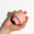 Wild One Twist Toss | Blush (2 Sizes) - Toys - Wild One - Shop The Paw