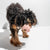 Wild One Twist Toss | Blush (2 Sizes) - Toys - Wild One - Shop The Paw