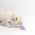 Wild One Twist Toss | Lilac (2 Sizes) - Toys - Wild One - Shop The Paw