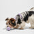 Wild One Twist Toss | Lilac (2 Sizes) - Toys - Wild One - Shop The Paw