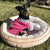 TONBO Dim Sum Pet Bed with Two Dumpling Crinkle Toys - Pet Bed Accessories - TONBO - Shop The Paw