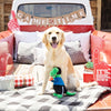 Fringe Studio Hustle Hit Never Quit Rex Plush Dog Toy - Toys - Fringe Studio - Shop The Paw