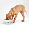 Howligans Mug+Dog Bowl Set (I'm a Dog Person / I'm a People Dog) - Pet Bowls, Feeders & Waterers - Howligans - Shop The Paw