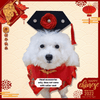 CNY Traditional Head Accessories - Dog Apparel - shopthepaw - Shop The Paw