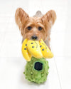 ShopThePaw - Durian Burrow Pet Toy (Special Season) | Toys | shopthepaw - Shop The Paws