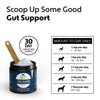 Four Leaf Rover Gut Guard - Supplement - Four Leaf Rover - Shop The Paw