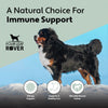 Four Leaf Rover Bovine Colostrum - Supplement - Four Leaf Rover - Shop The Paw