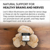 Four Leaf Rover Lion's Mane - Organic Mushroom Extract For Dogs - Supplement - Four Leaf Rover - Shop The Paw