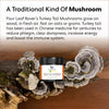 Four Leaf Rover Turkey Tail Mushroom - Supplement - Four Leaf Rover - Shop The Paw