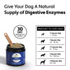 Four Leaf Rover Digest Dog Supplements - Supplement - Four Leaf Rover - Shop The Paw