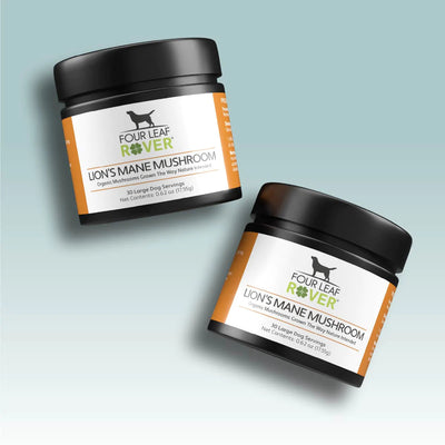Four Leaf Rover Lion's Mane - Organic Mushroom Extract For Dogs - Supplement - Four Leaf Rover - Shop The Paw
