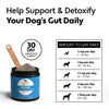Four Leaf Rover PROTECT Soil Based Probiotics - Supplement - Four Leaf Rover - Shop The Paw