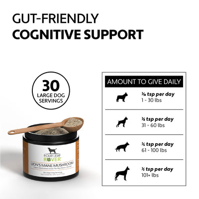Four Leaf Rover Lion's Mane - Organic Mushroom Extract For Dogs - Supplement - Four Leaf Rover - Shop The Paw