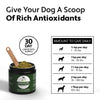 Four Leaf Rover Green Rover Organic and Fermented Greens for Happy and Healthy Dogs - Supplement - Four Leaf Rover - Shop The Paw