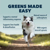 Four Leaf Rover Green Rover Organic and Fermented Greens for Happy and Healthy Dogs - Supplement - Four Leaf Rover - Shop The Paw