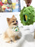 ShopThePaw - Durian Burrow Pet Toy (Special Season) | Toys | shopthepaw - Shop The Paws
