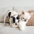 Lambwolf O BREUER Toy | Oversize Concrete - Toys - Lambwolf - Shop The Paw