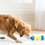 JW Pet RoboBone Electronic Treat Dispensing Dog Toy - Toys - JW Pet - Shop The Paw