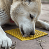 Sodapup - Honeycomb e-mat (Enrichment Licking Mat) - Yellow | Large - Toys - Sodapup - Shop The Paw