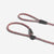 Zee.Dog Vortex Slip On Leash | Accessories | Zee.Dog - Shop The Paws